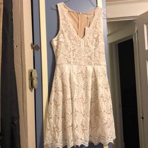 V neck scallop lace dress